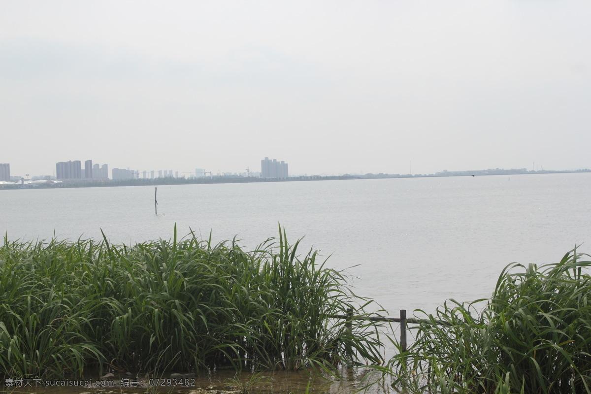 阳澄湖 风景 建筑 山水风景 水草 天空 自然风景 自然景观 阳澄湖风景 湖面风光 psd源文件