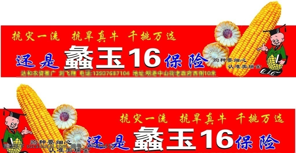 五菱之光车身 奥瑞金 蠡玉16车体 五菱之光车贴 蠡玉16 玉米博士 玉米棒子