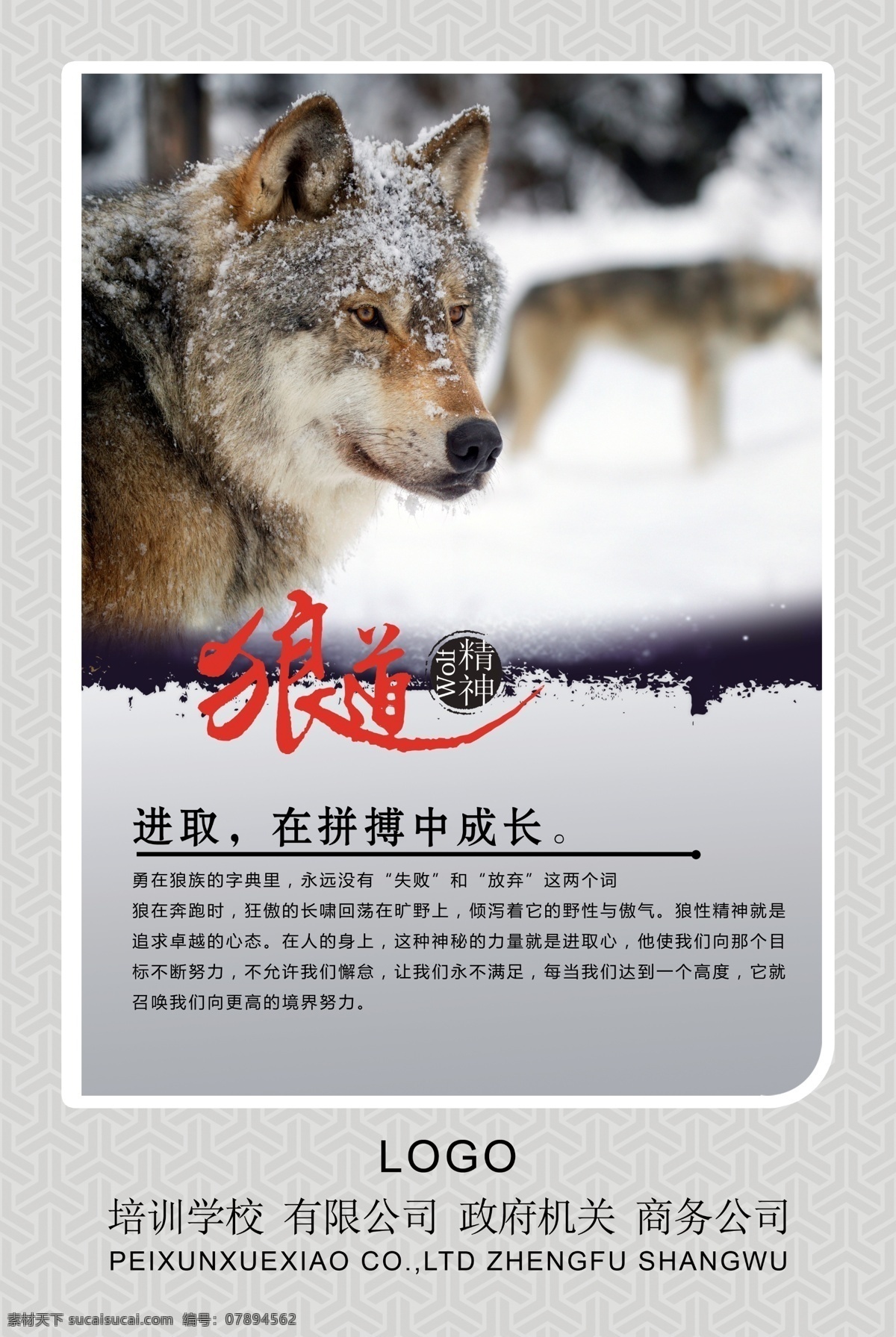 狼性文化展板 狼性文化 狼性团队 公司文化 企业文化 企业精神 专注 狼道