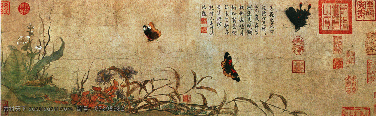中国 花鸟画 名家 赵 昌 书画 真迹 写生 蛱蝶 图 之一 古画 花鸟 书画真迹 晕染 名家赵昌 卷纸本 没色 用笔 遒劲 逼真传神 清丽典雅 清劲秀逸 变化自然 双钩 文化艺术