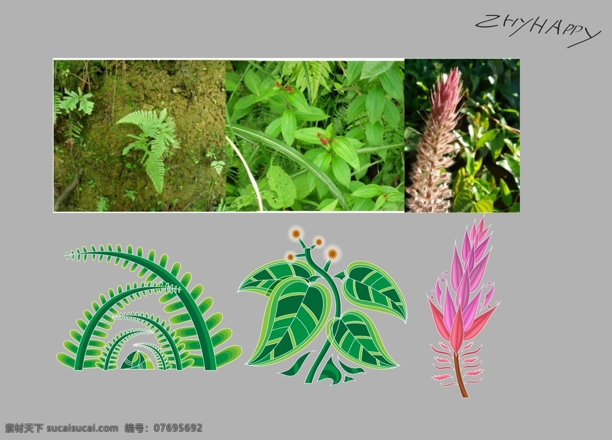 矢量 高清 野生 植物 绿色
