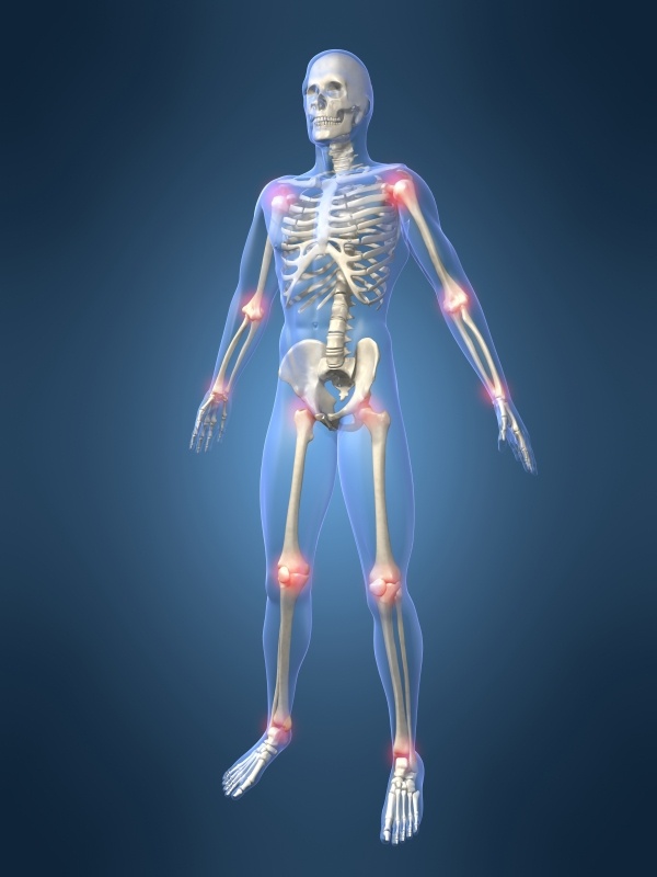 anatomy3drenders 33图片素材 人体器官图 人物图片