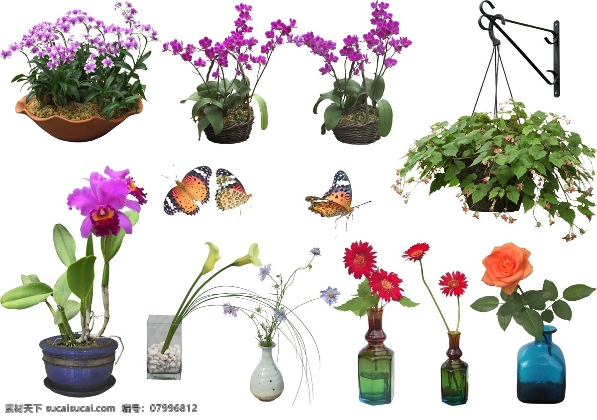 植物 花卉 ps ps素材 ps图案 室内 效果图 景观 装饰图片 分层 源文件