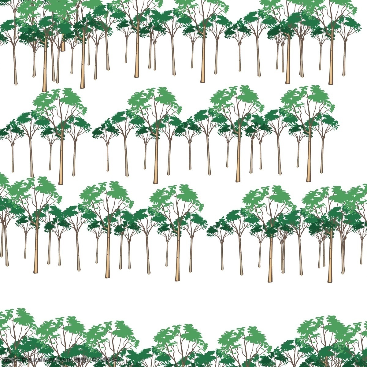 整齐的松树 矢量图 小树林 整齐 白色