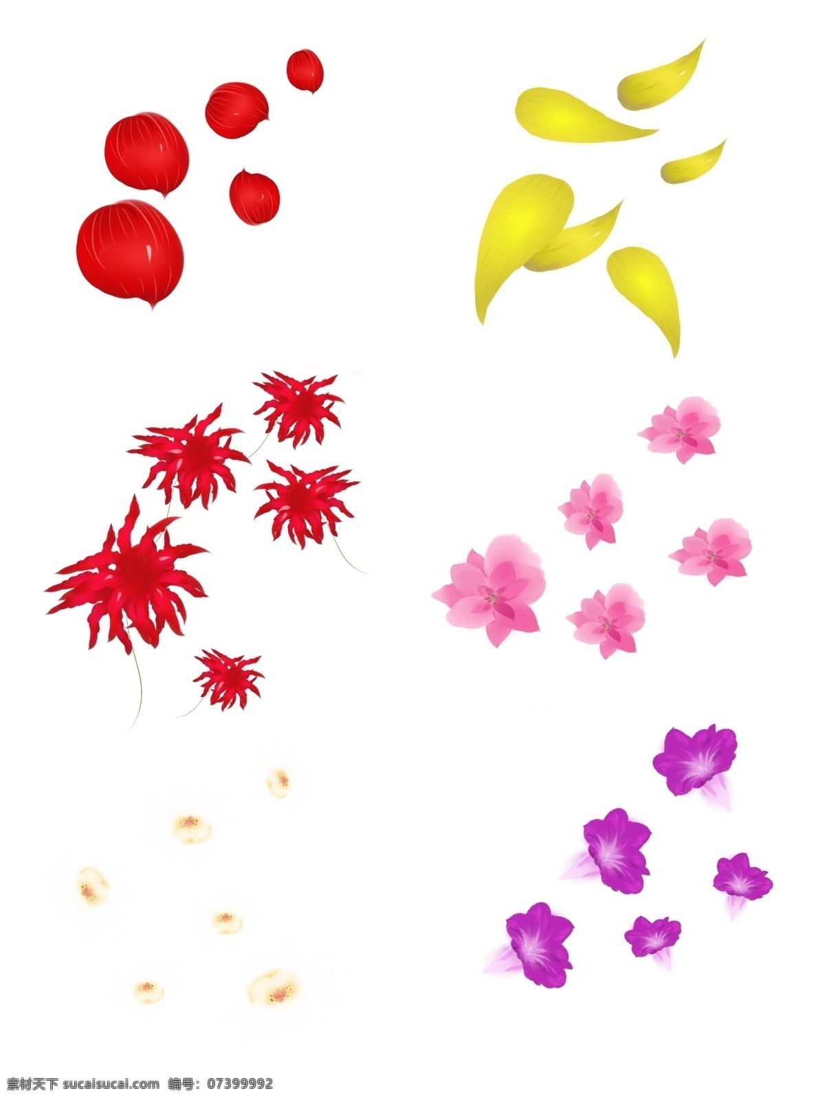 漂浮 美丽 花瓣 小清新 牵牛花 桃花