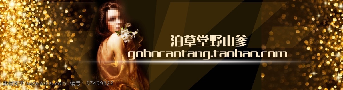 淘宝 养身 海报 psd源文件 动感 科技背景 美容素材 淘宝促销海报 淘宝素材 星星 养身海报 优雅 山参药物 高档时尚 原创设计 原创淘宝设计