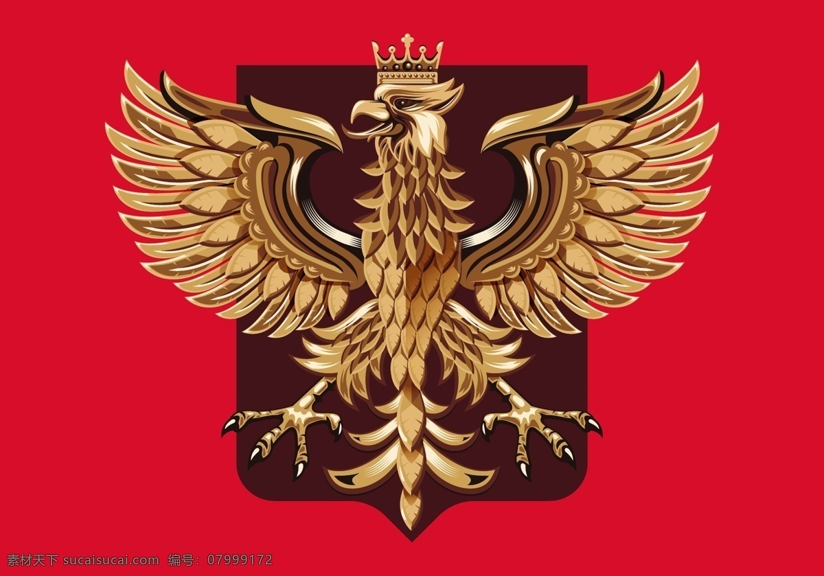 手臂 矢量 雕刻 波兰 外套 武器 背景 旗帜 国家 鹰 国徽 欧洲 国旗 图形 图标 插图 王国 标签 标志 符号 波兰鹰
