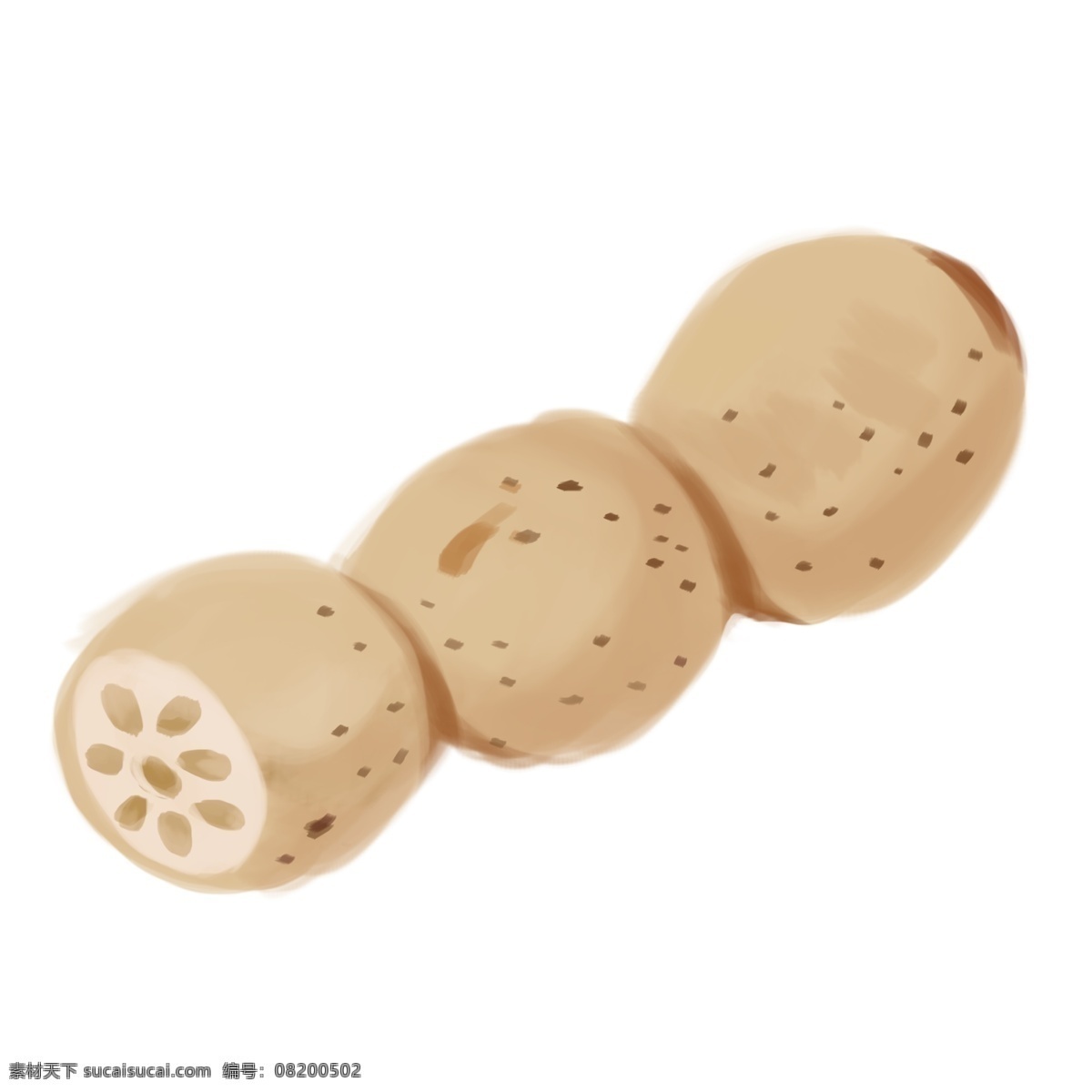 手绘 食物 莲藕 土黄色 三节