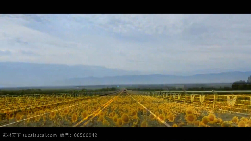 美丽 乡村 公路 交通 视频