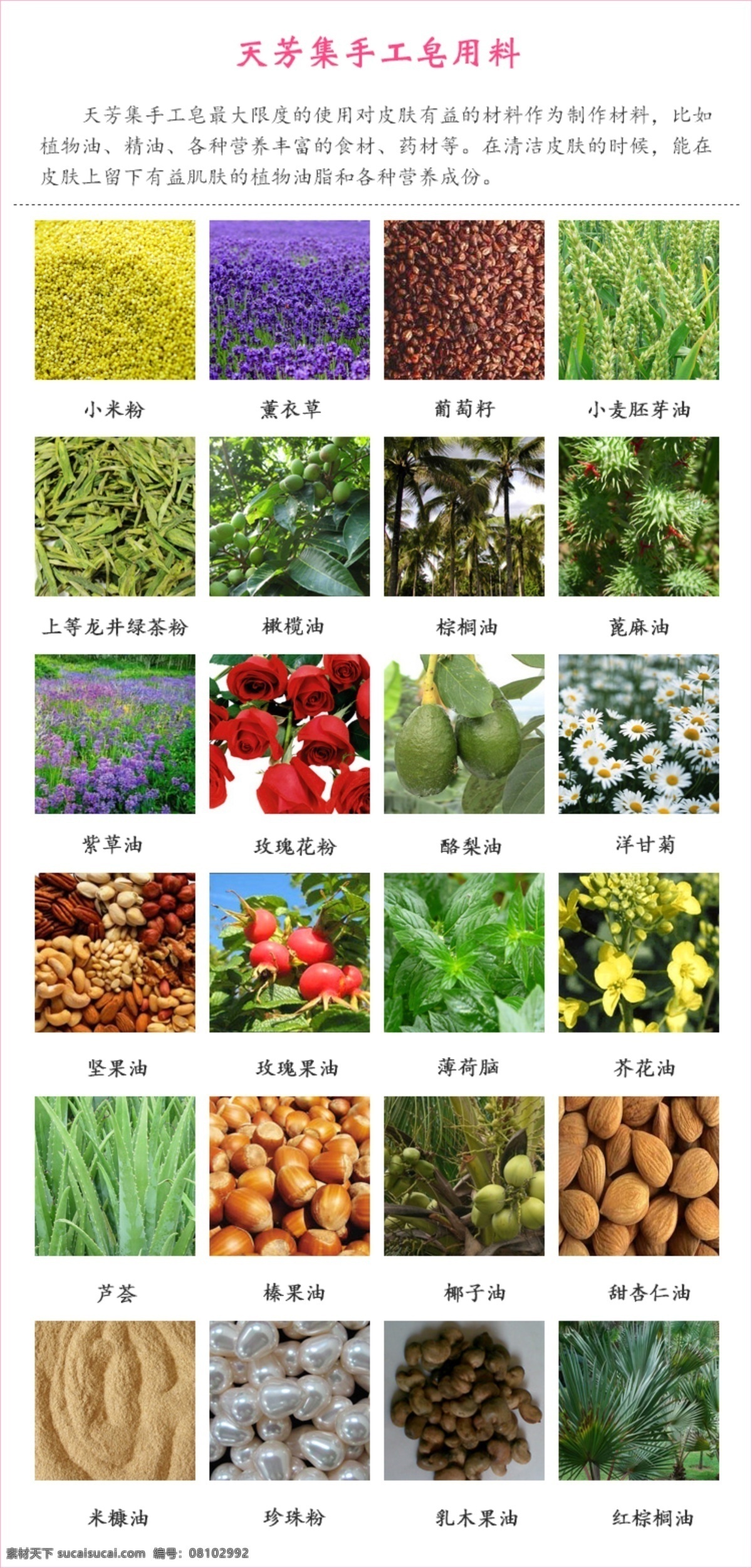 橄榄 广告设计模板 化妆品 坚果 精油 玫瑰 玫瑰精油 天 芳 集 手工 皂 成分 模板下载 手工皂 用料 配方 棕榈 米糠油 玫瑰果 玫瑰花粉 椰子 天竺葵 源文件 psd源文件