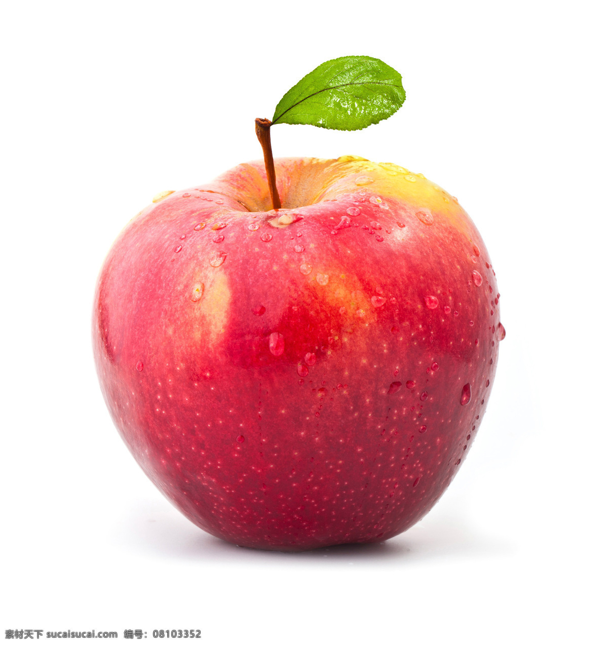 苹果 蛇果 红富士 苹果园 新疆苹果 阿克苏苹果 冰糖心 水果 生物世界