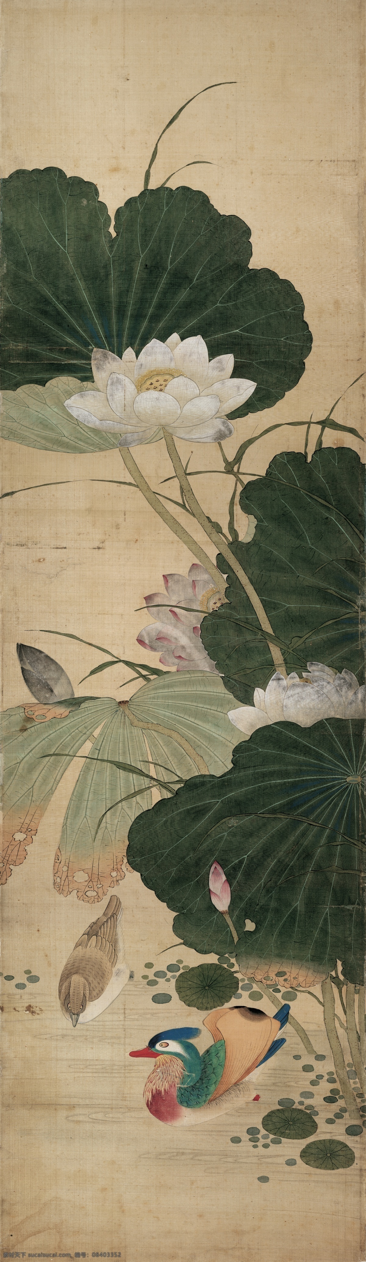 新中式花鸟 工笔花鸟 新中式 禅意 花鸟画 花鸟图 中式手绘 古典 国画 花卉 玄关装饰画 玄关画 玄关背景 沙发 客厅 书房 卧室 餐厅 装饰画 无框画 圆形装饰画 花鸟挂画 背景 油画 个性装饰画 抽象 风景 水彩 艺术 水彩风景 北欧风景 抽象艺术 艺术水彩 抽象水彩 北欧抽象 装饰画抽象
