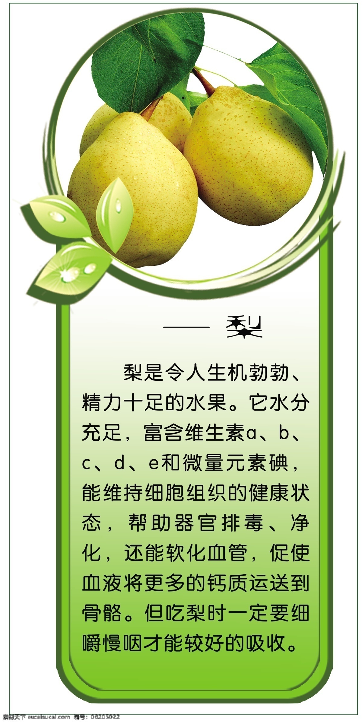 水果功效 梨 分层 源文件