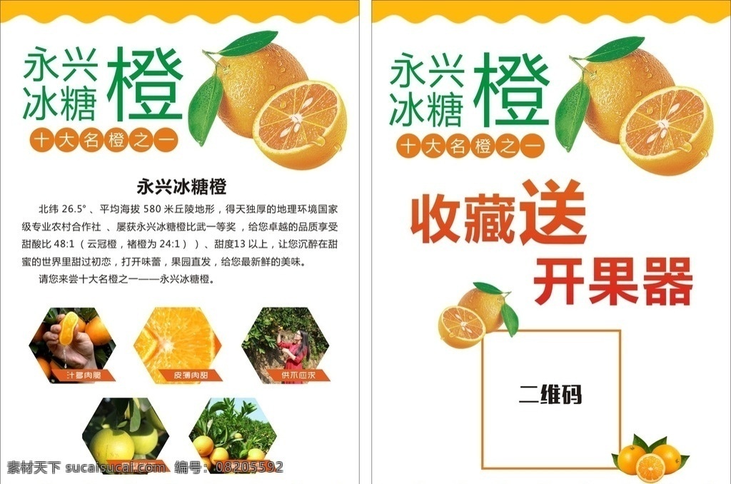 冰糖橙单页 冰糖橙传单 永兴橙 永兴 冰糖橙 橙子 黄色 简单 单页 传单 橙子传单 冰糖橙海报 海报 dm宣传单