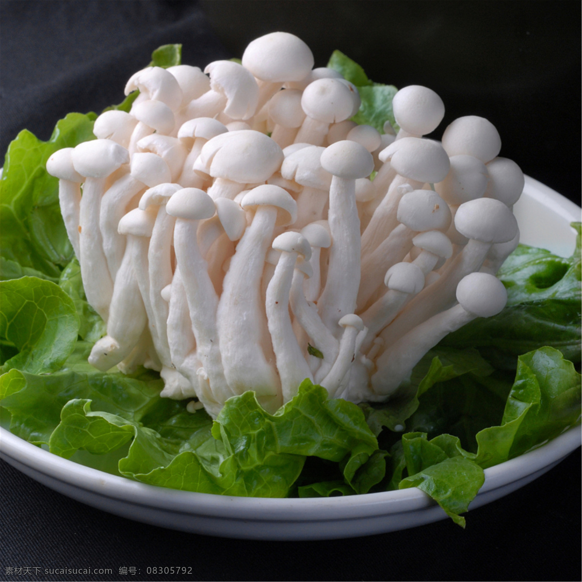 菌白玉菇 美食 传统美食 餐饮美食 高清菜谱用图