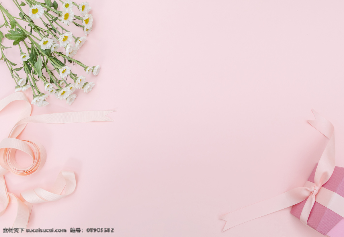 粉色 雏 菊 丝带 背景 礼物 礼品 礼盒 边框 粉色背景 公主 小清新 新鲜 留白 缎带 花朵 菊花 雏菊 鲜花 底纹边框 背景底纹