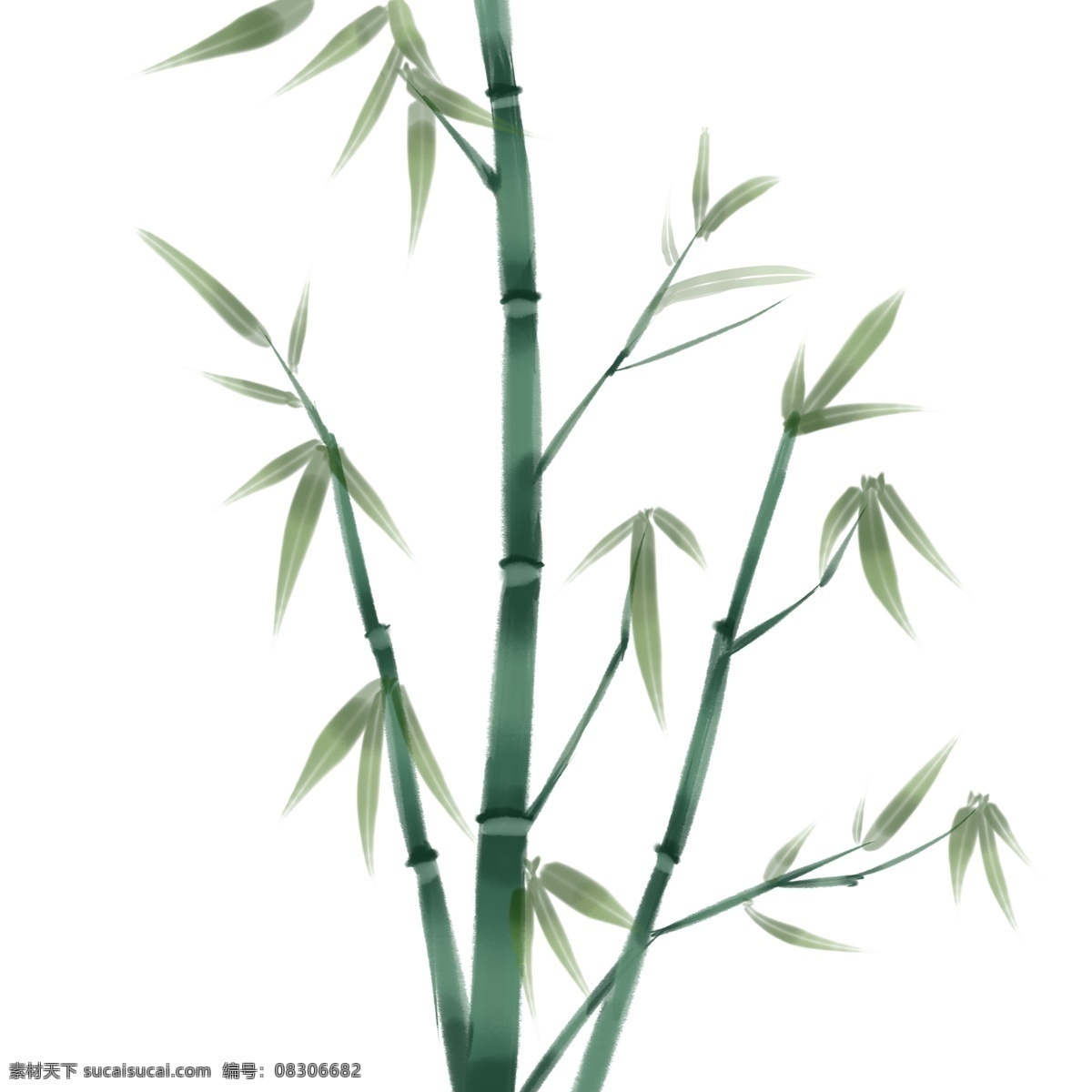 水墨 绿色 竹子 插画 竹叶 叶子 中国风 水墨画 植物 水墨竹子插画 绿色的竹子 绿色竹竿 水彩竹子 绿植