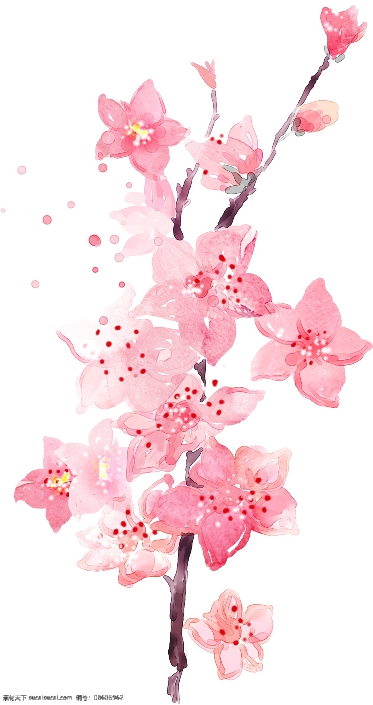 精美 手绘 水墨 桃花 立春 元素 插画 春天 粉色 花 花瓣 花朵 桃花枝