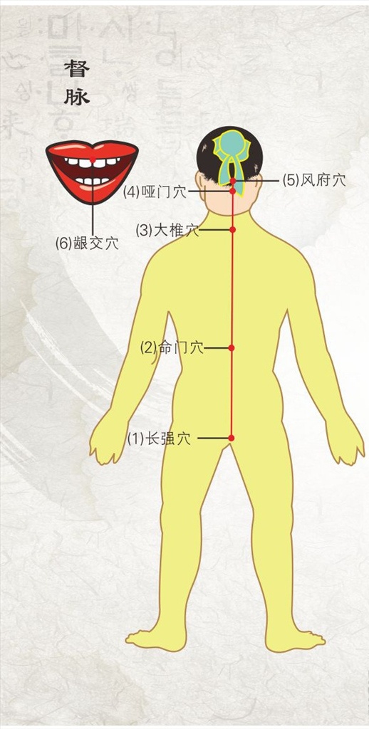 中康好智通 中康 好智通 糖尿病 治疗仪 选穴指导 经络 经络图片 经络图 中医经络 经络矢量 人体经络图 十四经络 人体经络 经络文化 经络海报 经络展板 经络挂画 经络挂图 经脉 奇经八脉 督脉 任脉 经脉图片 经脉图 经络养生 人体穴位 经络穴位 人体经脉 五行经络 矢量经络 任督二脉