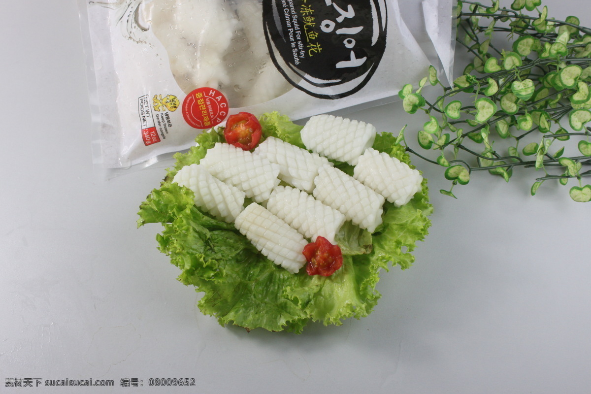 冷冻鱿鱼花 海鲜 海鲜食品 海鲜样图 韩国食品 冷冻 展示 鱼肉 海鲜产品 食物原料 餐饮美食