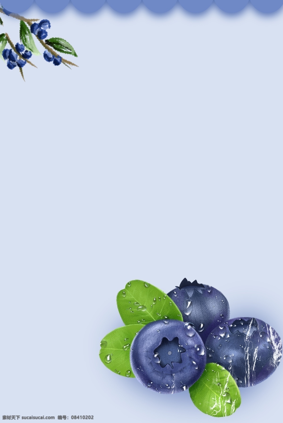 蓝莓 嘟嗜 提子 桑葚 甸果 笃斯 笃斯越桔 笃柿 葡萄 蓝色浆果 覆盆子