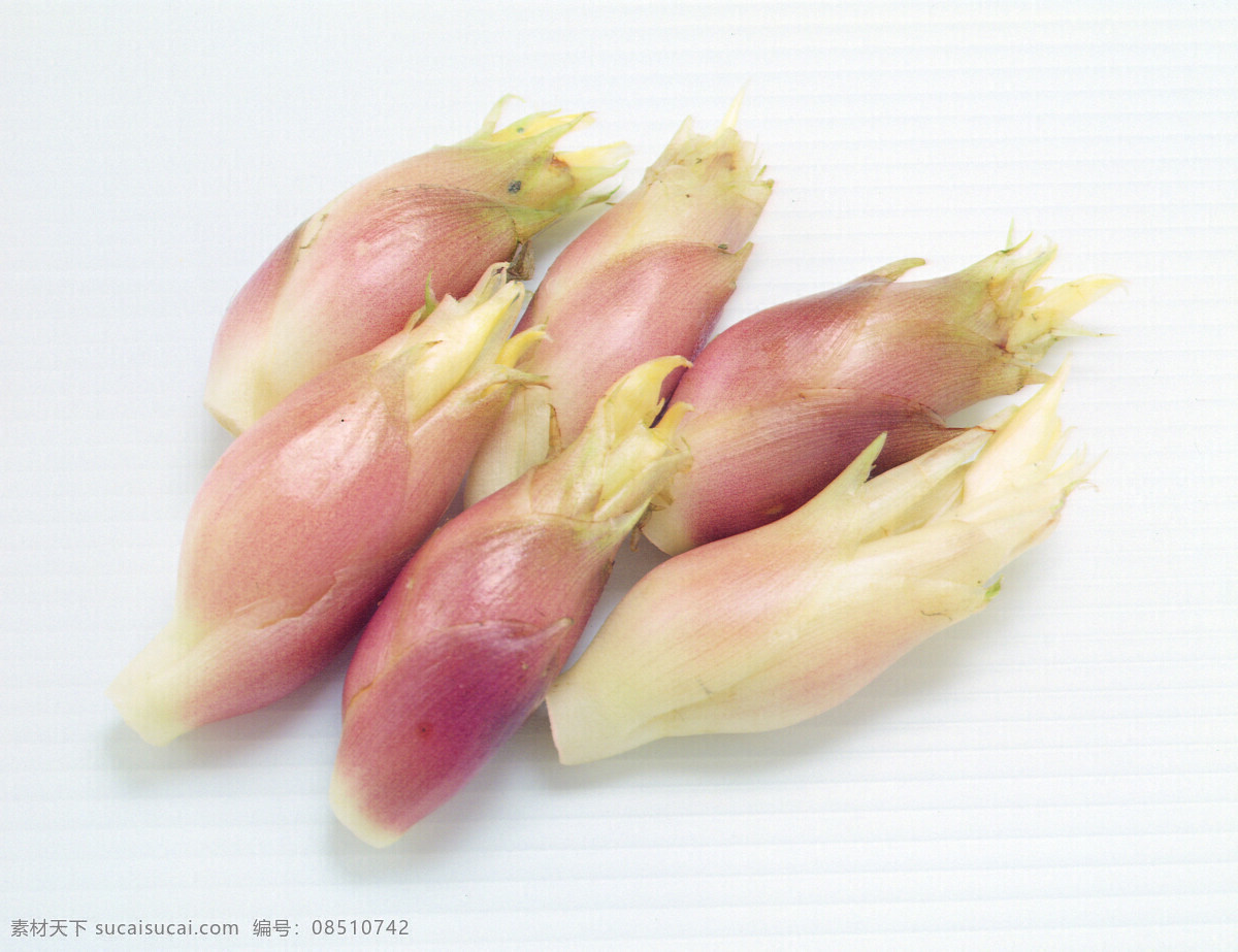 蔬菜免费下载 蔬菜 蔬菜大棚图片 蔬菜大全 蔬菜瓜果大全 蔬菜广告 蔬菜图片 蔬菜的图片 风景 生活 旅游餐饮