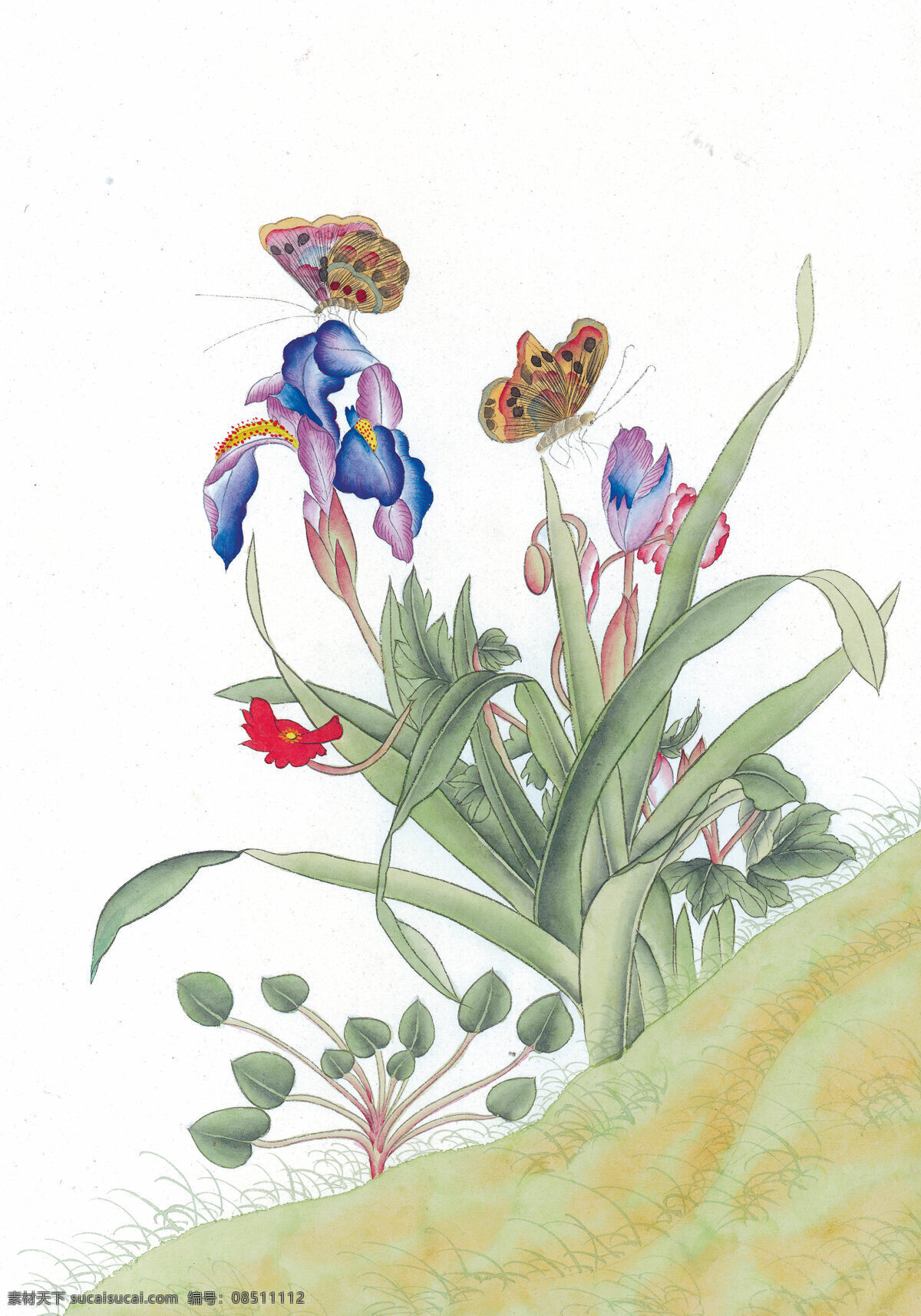 中式 花鸟 工笔画 花朵 花卉 花草 鸟 中国风 中式工笔画 文化艺术 绘画书法