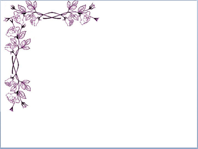边角 花纹 模板 白色