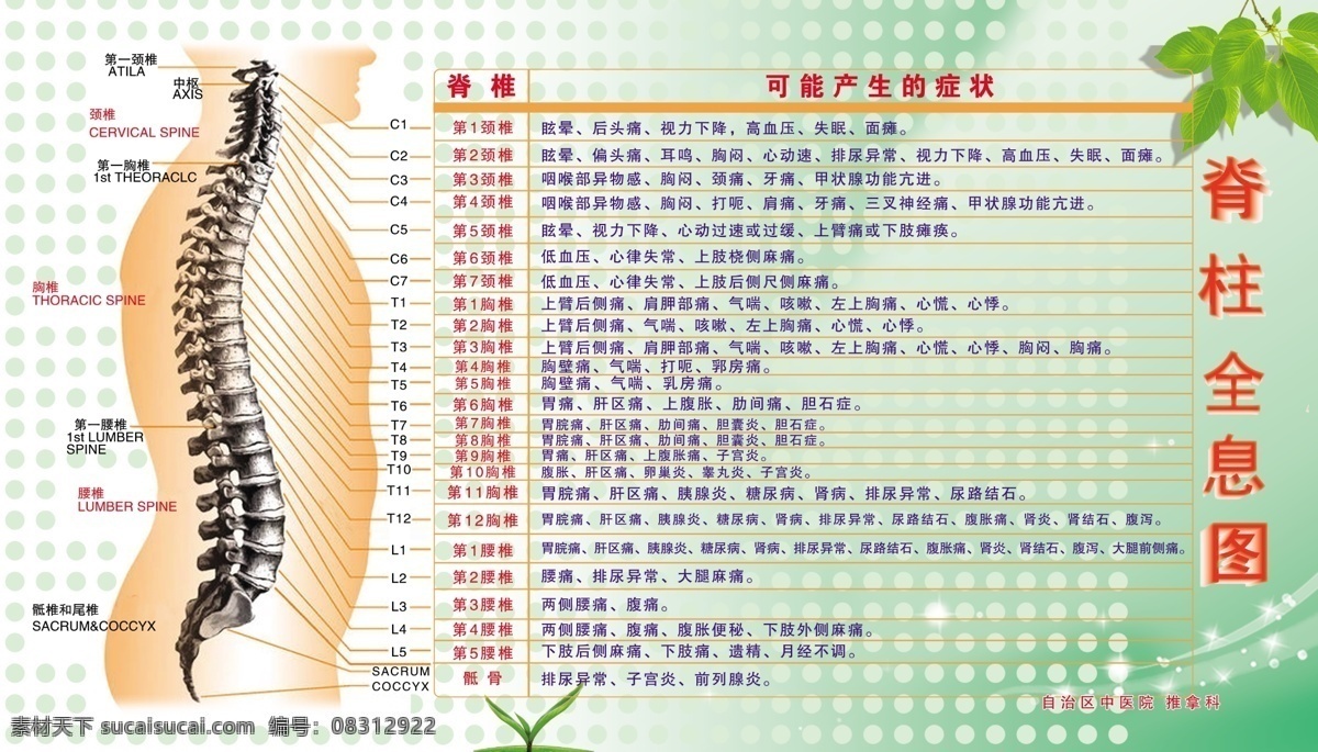 脊柱全息图 中医院 推拿科 脊柱 全息图 脊椎 绿叶 圆点 展板模板 广告设计模板 源文件