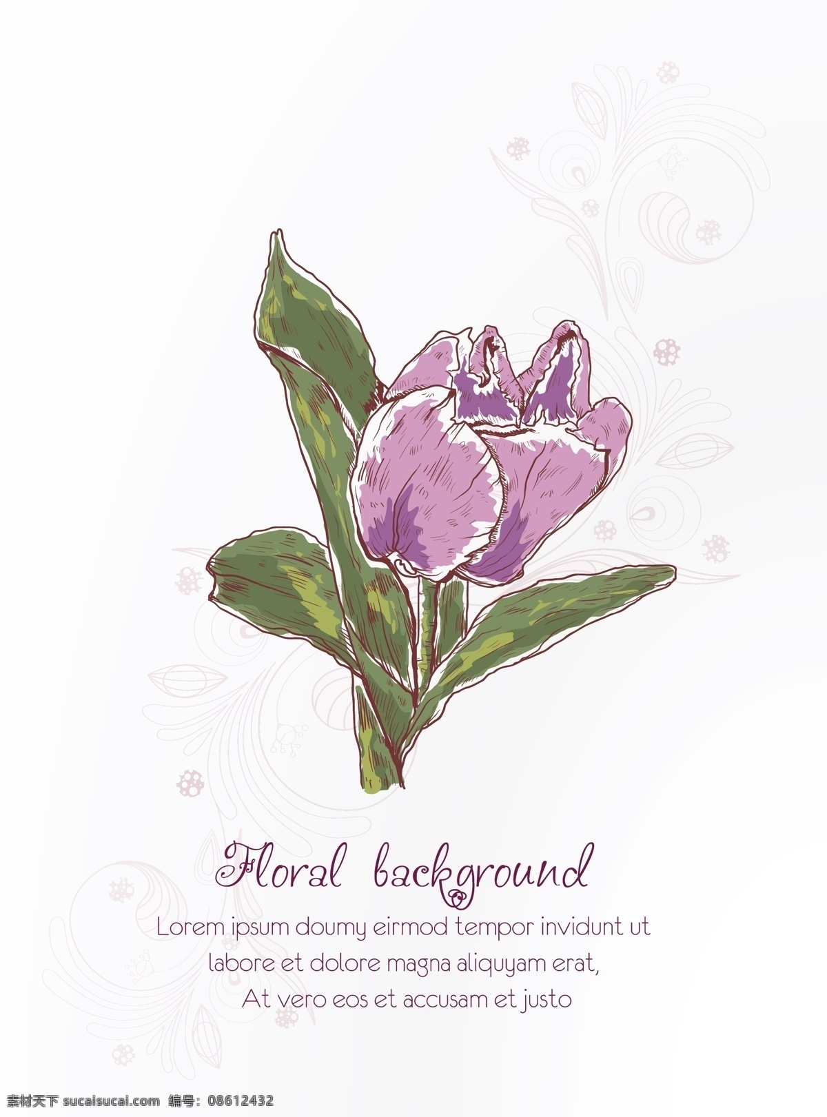 花卉 背景 矢量 插图 白色