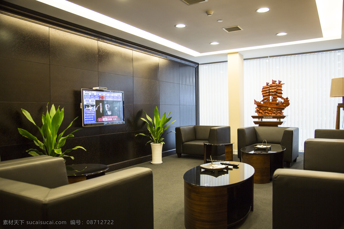 整洁的会客厅 会客厅 沙发 室内 电视 灯光 建筑景观 生活百科 学习办公