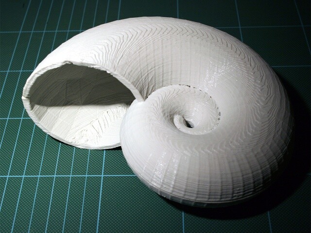 海螺免费下载 3d 海螺 蜗牛形状 3d模型素材 3d打印模型