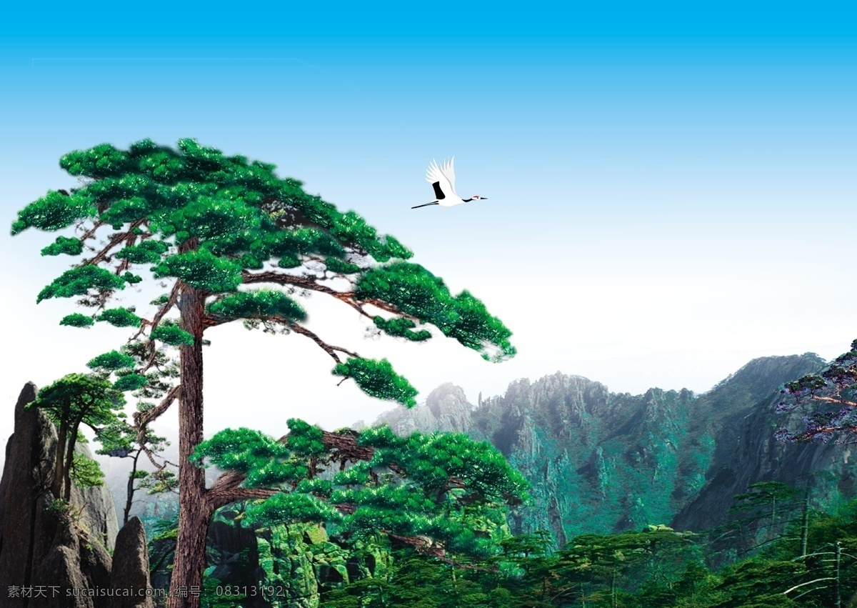 迎客松 高山 群山 单顶鹤 鸟 枝叶 树木 云海 松树 天空 云彩 远景 仙景 中堂画 挂画 壁画 高清 创意设计 风景 分层 源文件