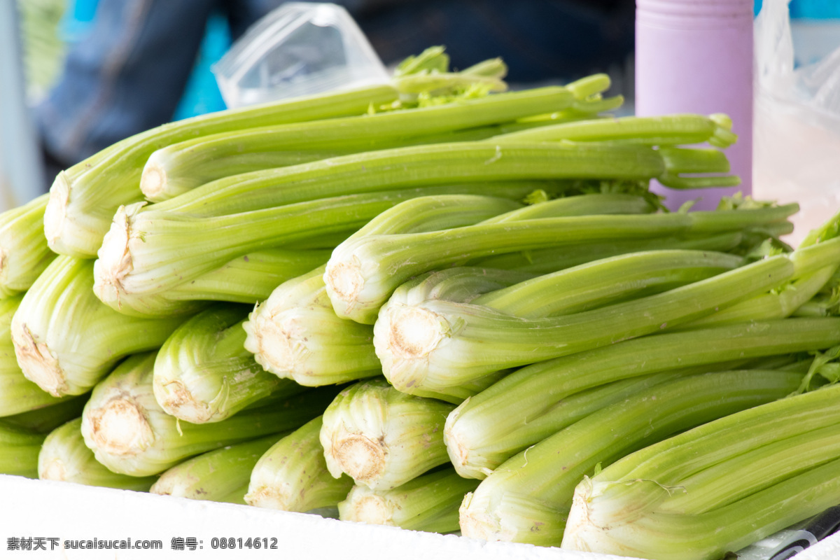 芹菜 香芹菜 西芹 水芹 旱芹 香芹 蔬菜 绿色蔬菜 食材 农产品 农作物 伞形科植物 蔬菜摄影 生物世界