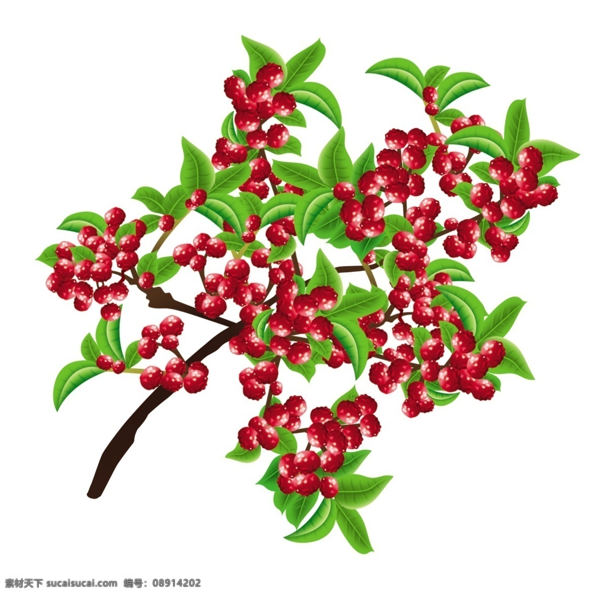 花椒 汉源贡椒 花椒树 矢量花椒 贡椒 花草 生物世界