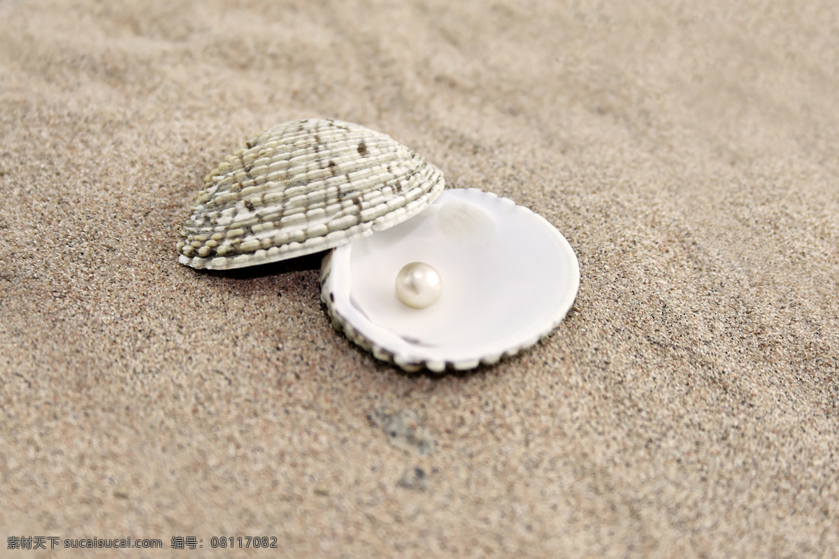 贝壳 珍珠 蚌 沙滩 海滩 底纹背景 背景图片 沙滩背景 珠宝服饰 生活百科