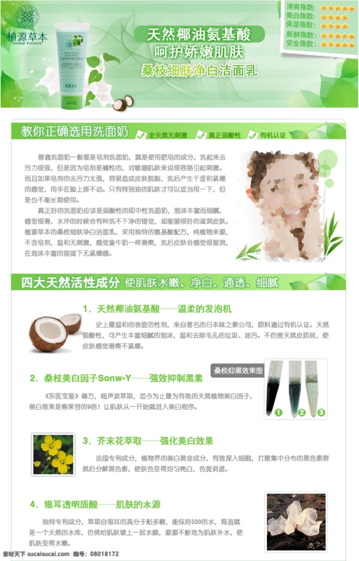 宝贝描述 化妆品 宝贝 描述 淘宝 网页模板 叶子 银杏 源文件 桑枝 细 肤 净白 洁面乳 产品成分 植物 中文模版 淘宝素材 其他淘宝素材