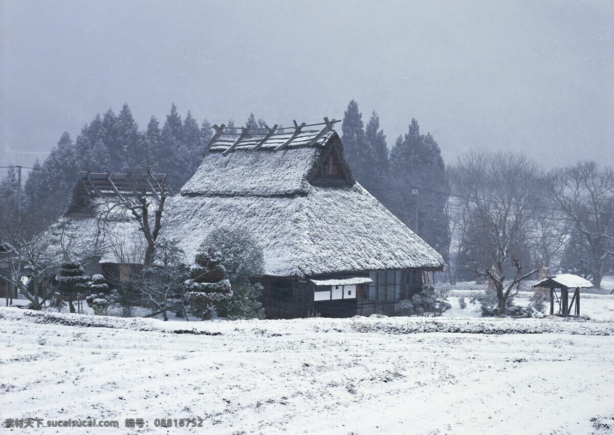 乡村 雪景 乡村雪景 雪与房屋 雪与树 风景 生活 旅游餐饮