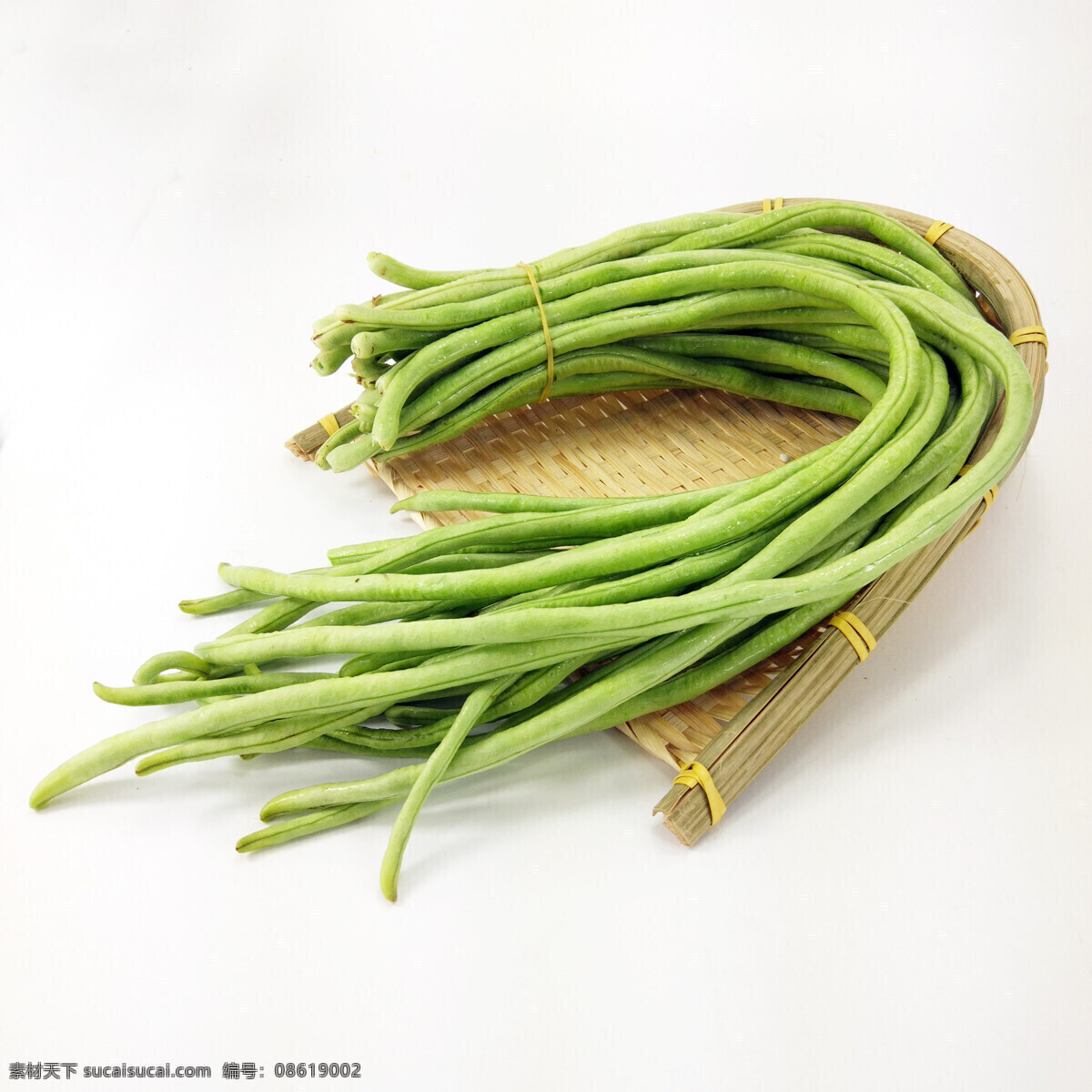 豆角 青豆角 绿豆角 豇豆 长豆 生物世界 蔬菜