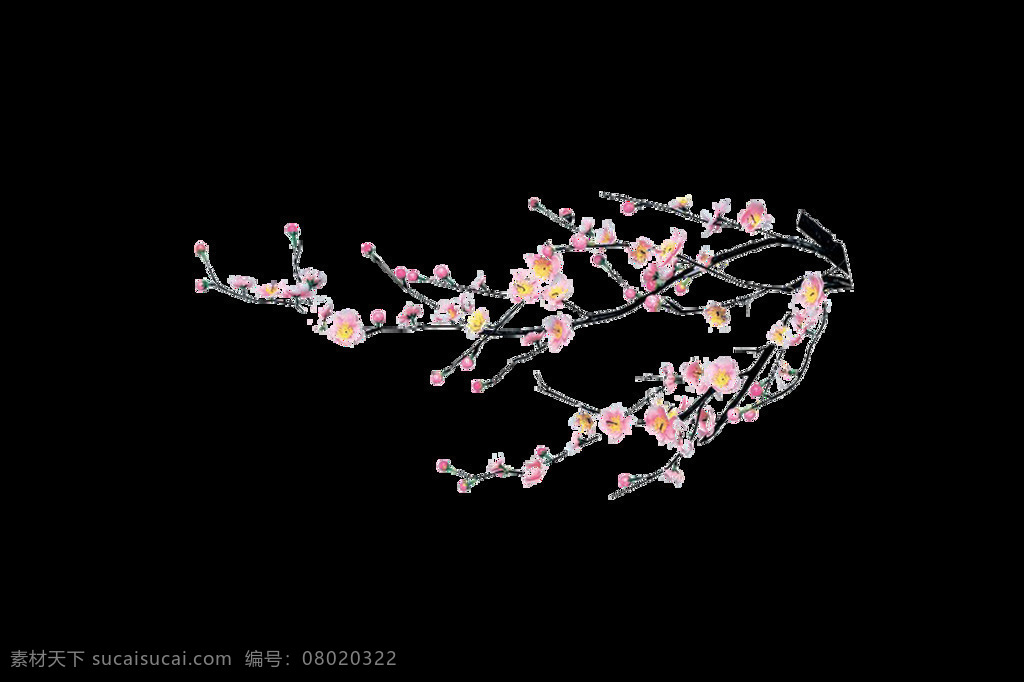 卡通 梅花 枝头 元素 png元素 花朵 免抠元素 树枝 透明素材