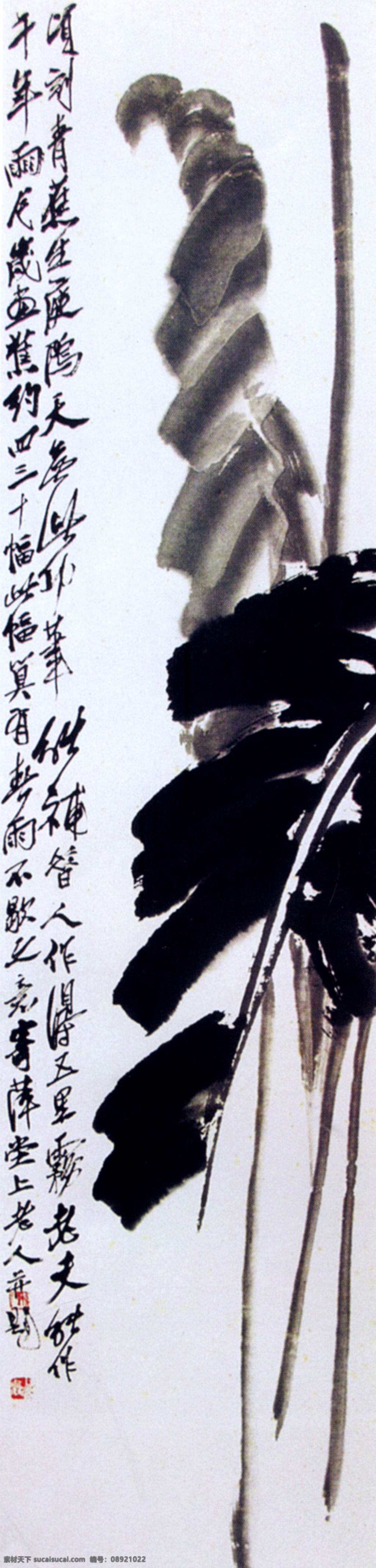 雨蕉 文化艺术 绘画书法 国画集 齐白石作品 白色