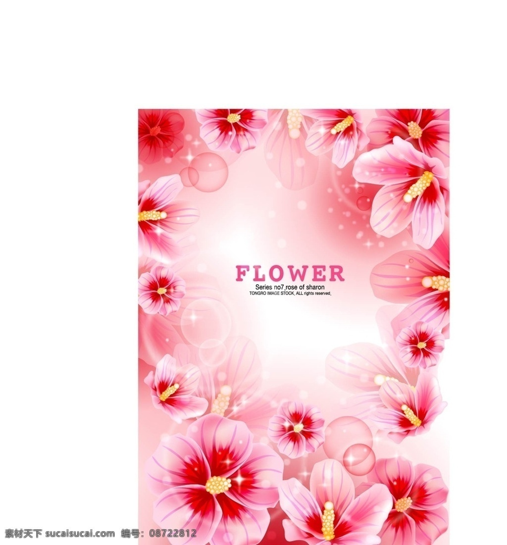 梦幻 粉色 花朵 梦幻花朵 粉红色花朵 鲜花 粉红 背景图 背景花朵 背景 背景模板 红花 底纹边框 背景底纹