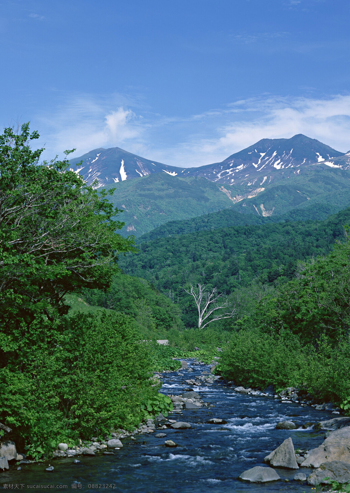 天空高山 蓝天 高山流水 绿树 急流 风景画 山水风景画 山峰 风景 河流 流水生财 财源滚滚 山水 细水长流 溪流 溪水 摄影图 山水风景 自然景观