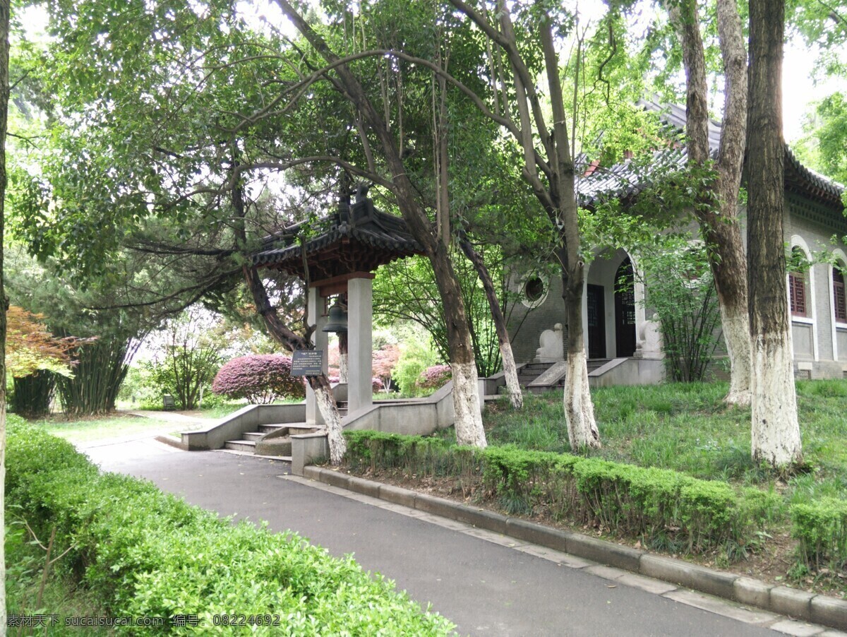 南京大学春日 南京大学 春日 景观 花草 春意盎然 教学校园 自然景观 建筑景观