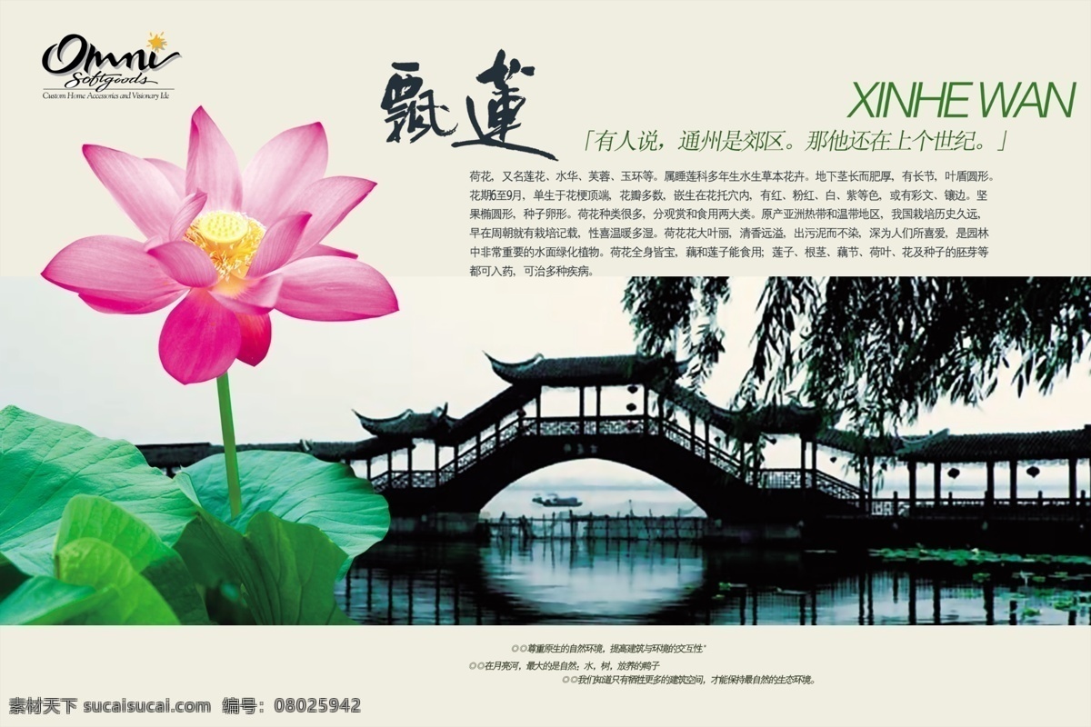 小桥流水 荷花 小桥 河水 唯美 房地产 白色