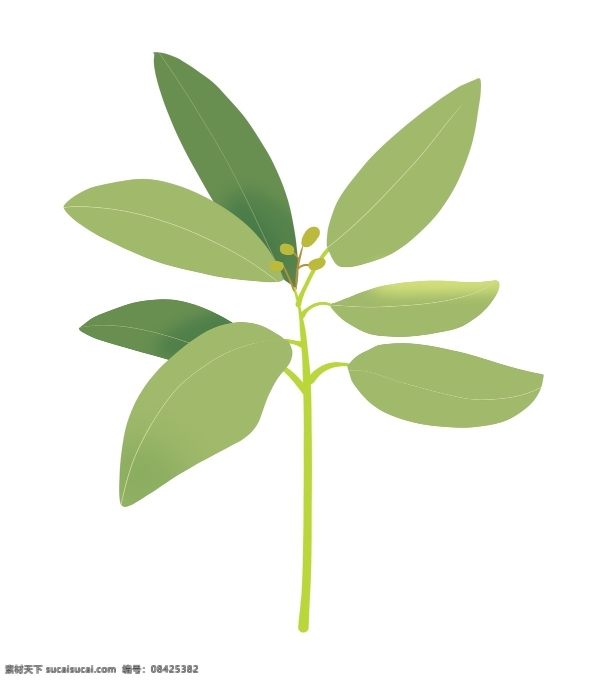 卡通绿色树叶 植物 绿叶 叶子