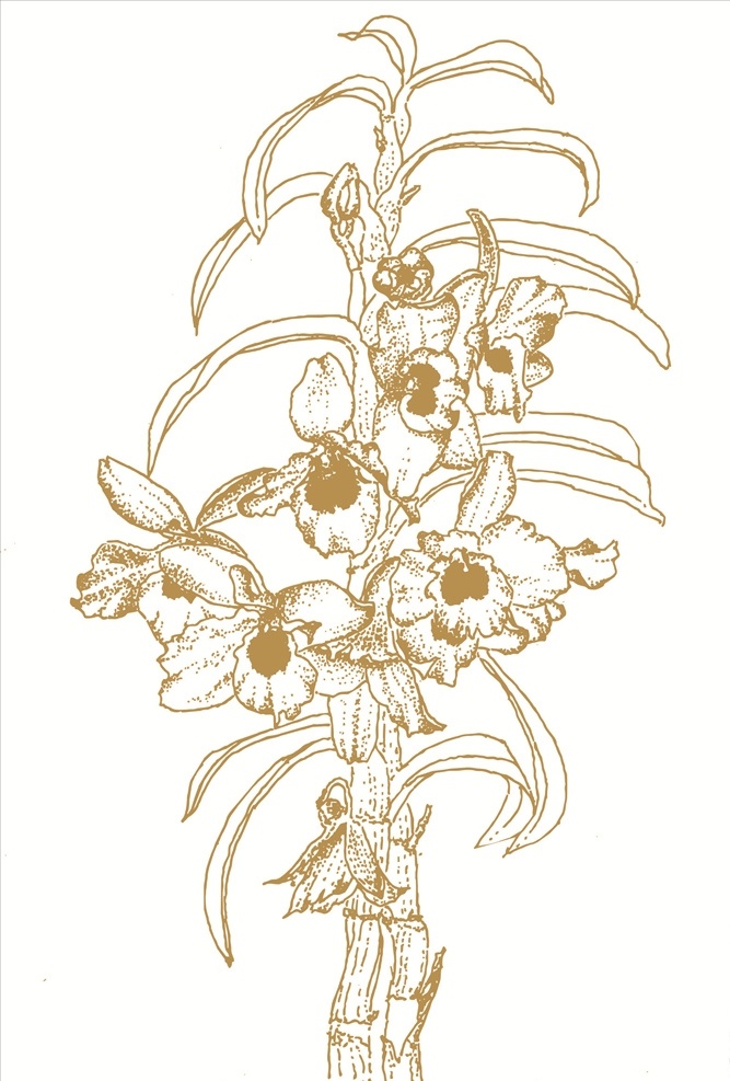简笔画 移门花纹 移门窗花 衣柜花纹 线条 古典 中国风 隔断 兰花矢量素材 镂空雕花 矢量素材 线描 兰花矢量图 兰花 兰花素材 条纹线条 兰花线条图 玻璃花窗 门窗花纹 木格雕花 矢量移门 移门线条图 移门图案 兰花剪影 剪纸 传统 矢量 剪影 黑白 电视背景墙 背景墙 玄关 屏风 线条图