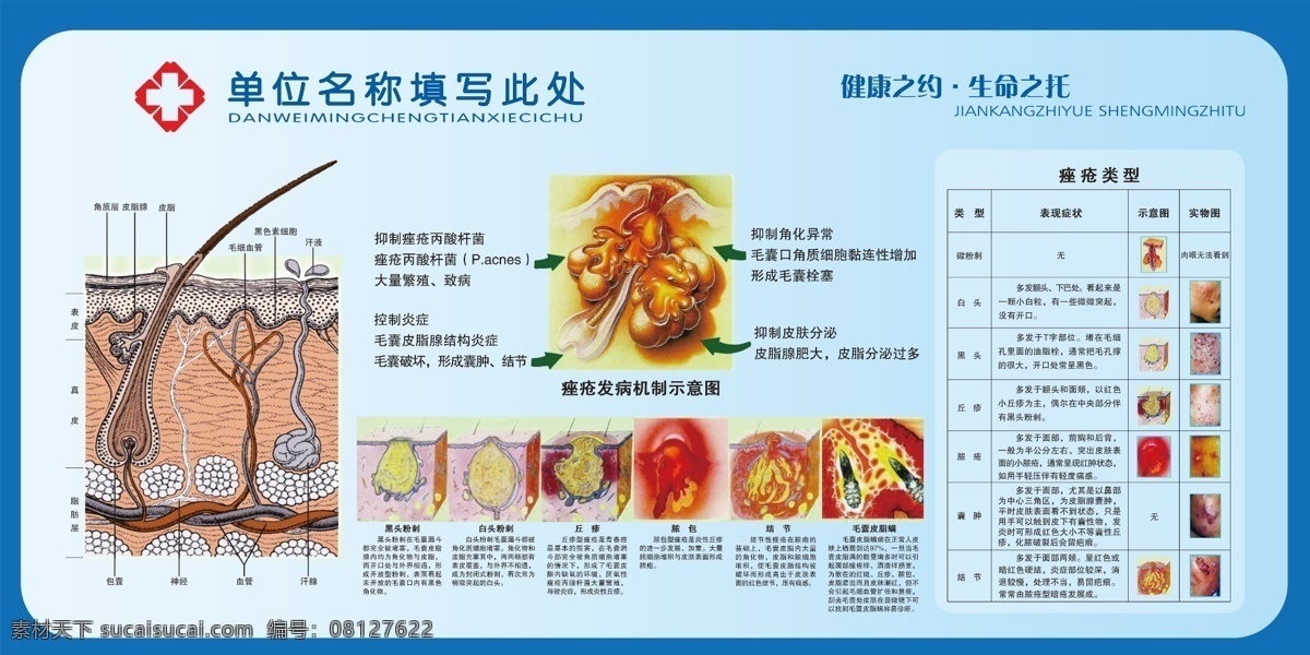 皮肤 病变 妇科展板 皮肤病 皮肤科 医院宣传 医院展板 皮肤的层次 皮肤痤疮 皮肤科挂图 妇科治疗 医院展板设计