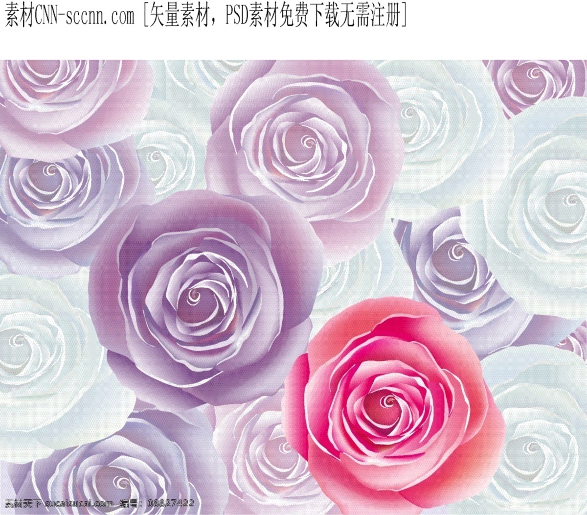露珠 滑落 娇艳 玫瑰 矢量 花卉 绿叶 水滴 阳光 露珠滑落 娇艳玫瑰 晶莹水珠