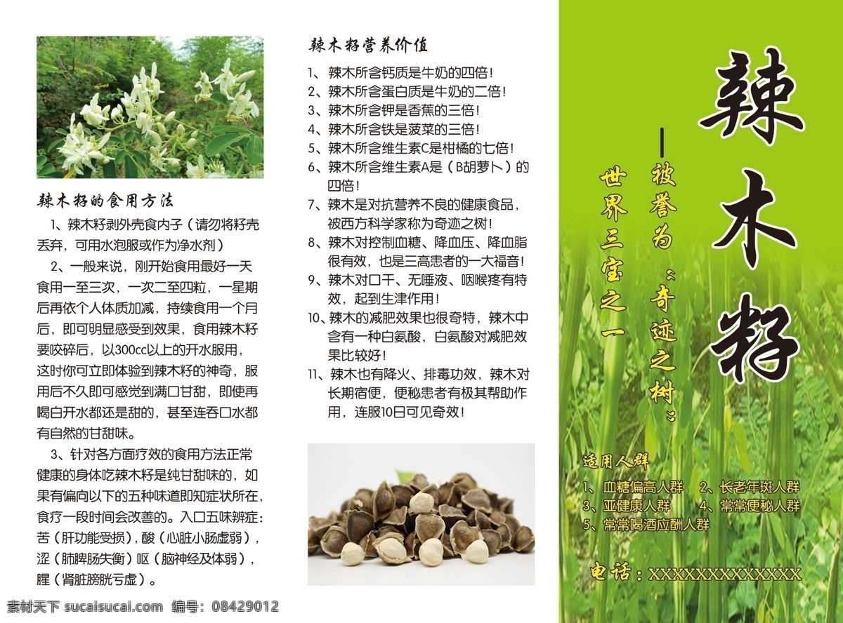 辣木籽 三折页 功效 适用人群 宣传单 dm单 药材 白色